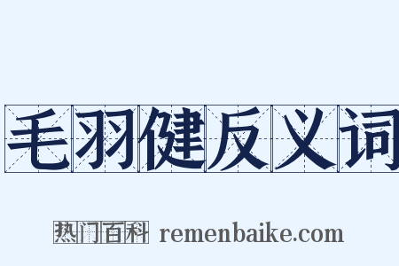 毛羽健反义词是什么意思的图片